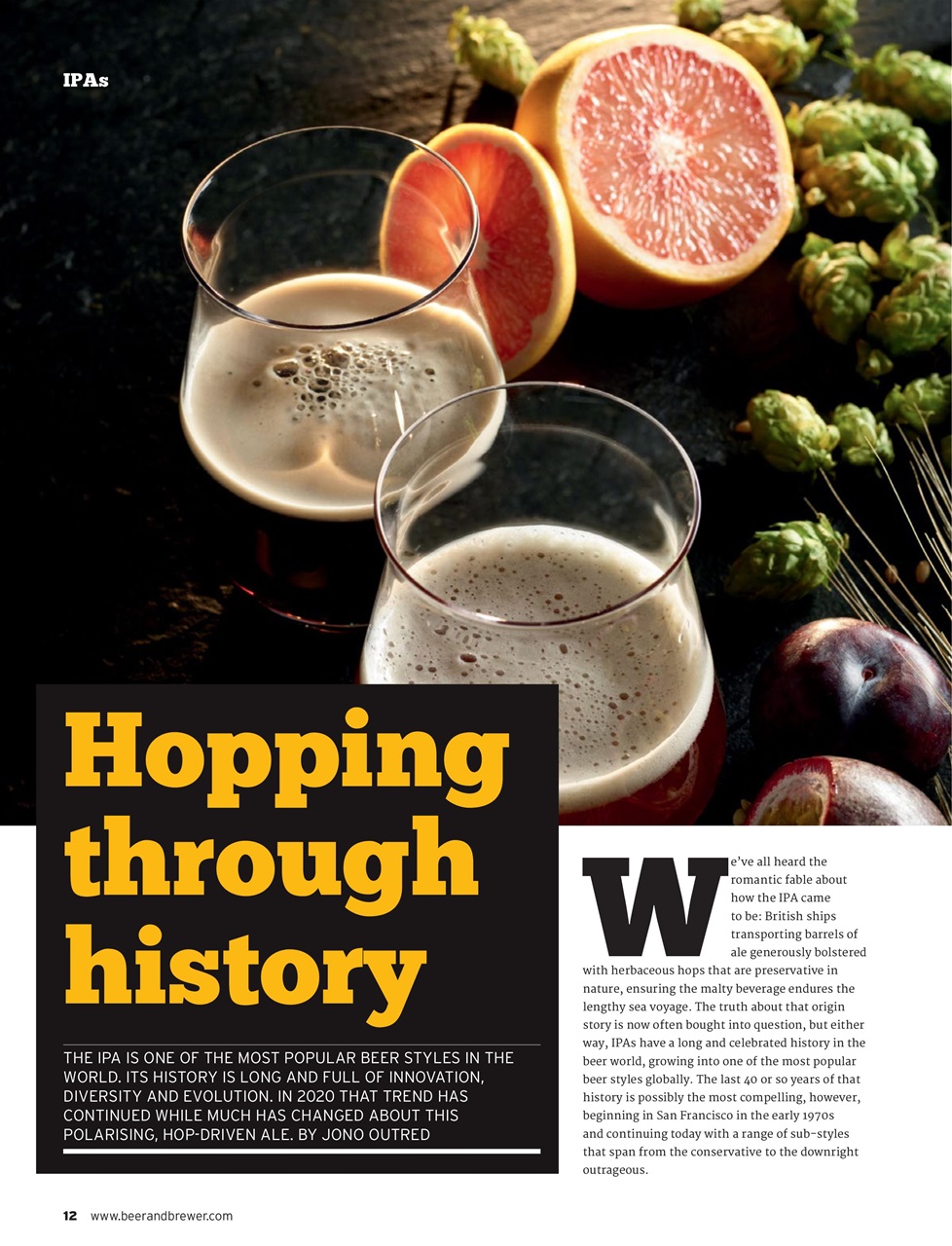 Beer and Brewer Preview Pages