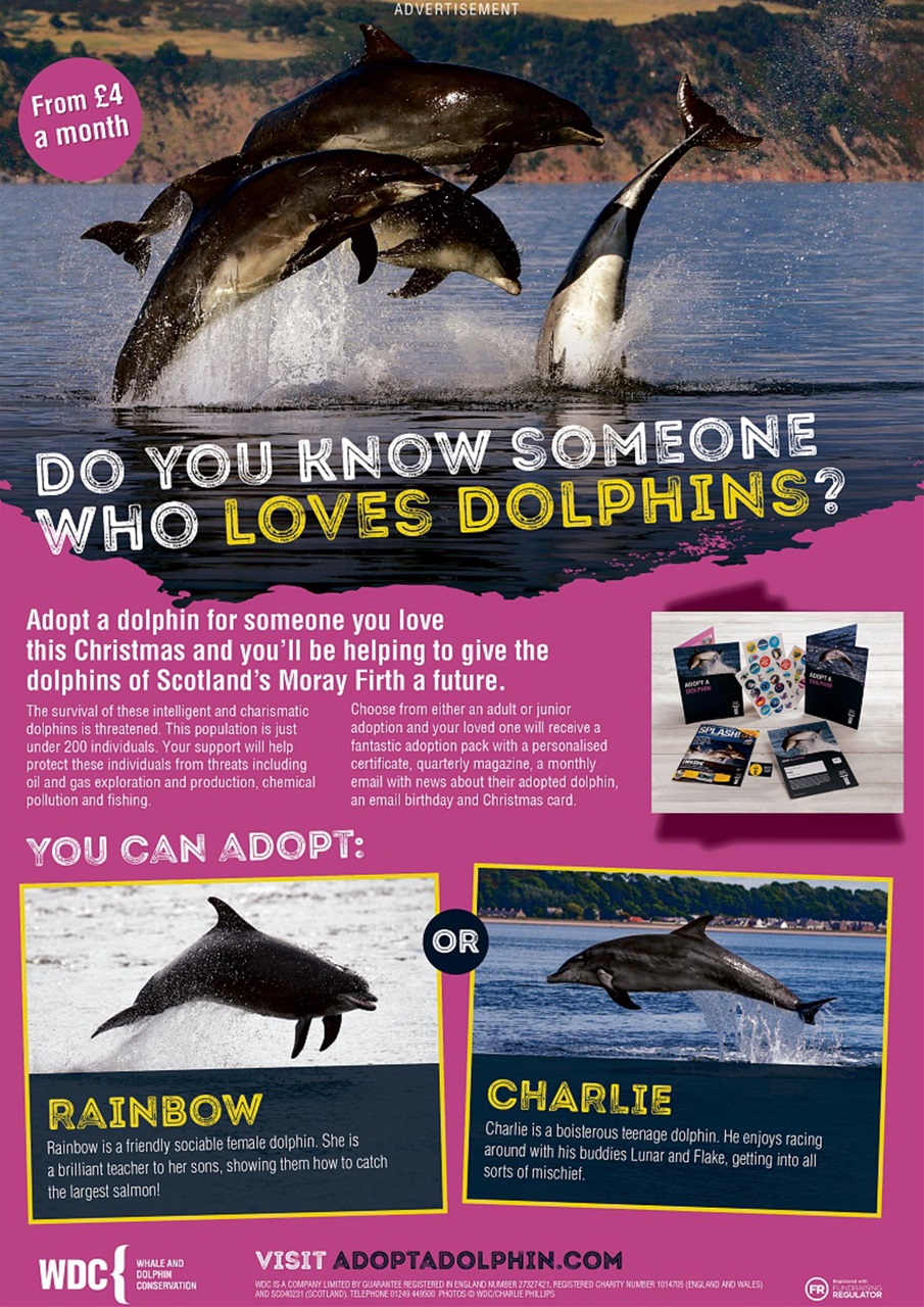 My Weekly Preview Pages