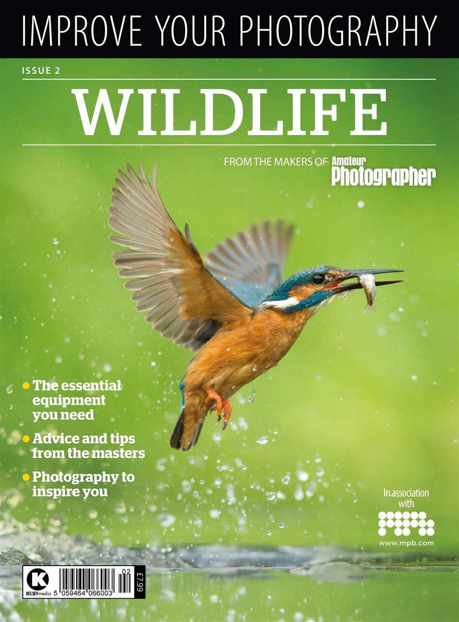 Improve Your Photography Preview Pages