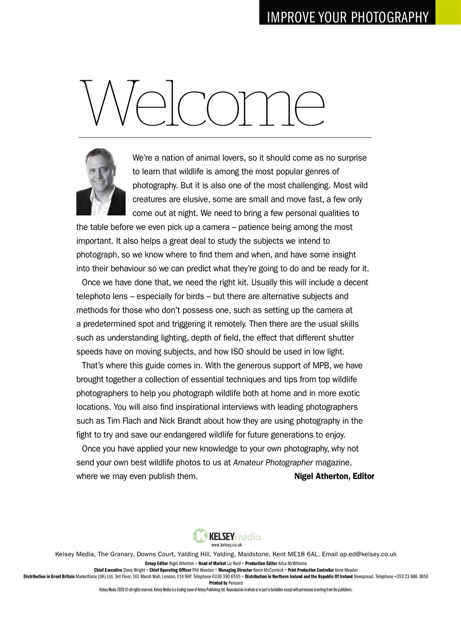 Improve Your Photography Preview Pages