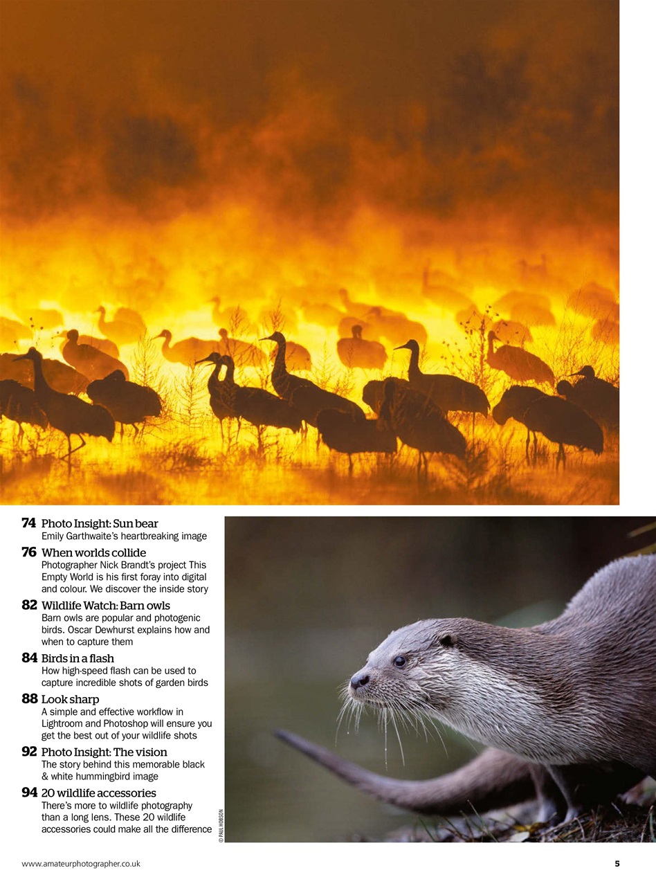 Improve Your Photography Preview Pages