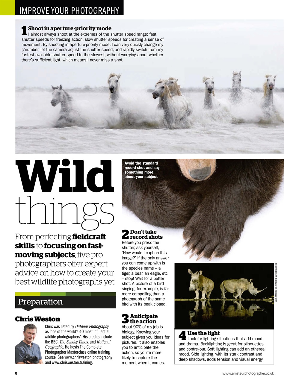 Improve Your Photography Preview Pages