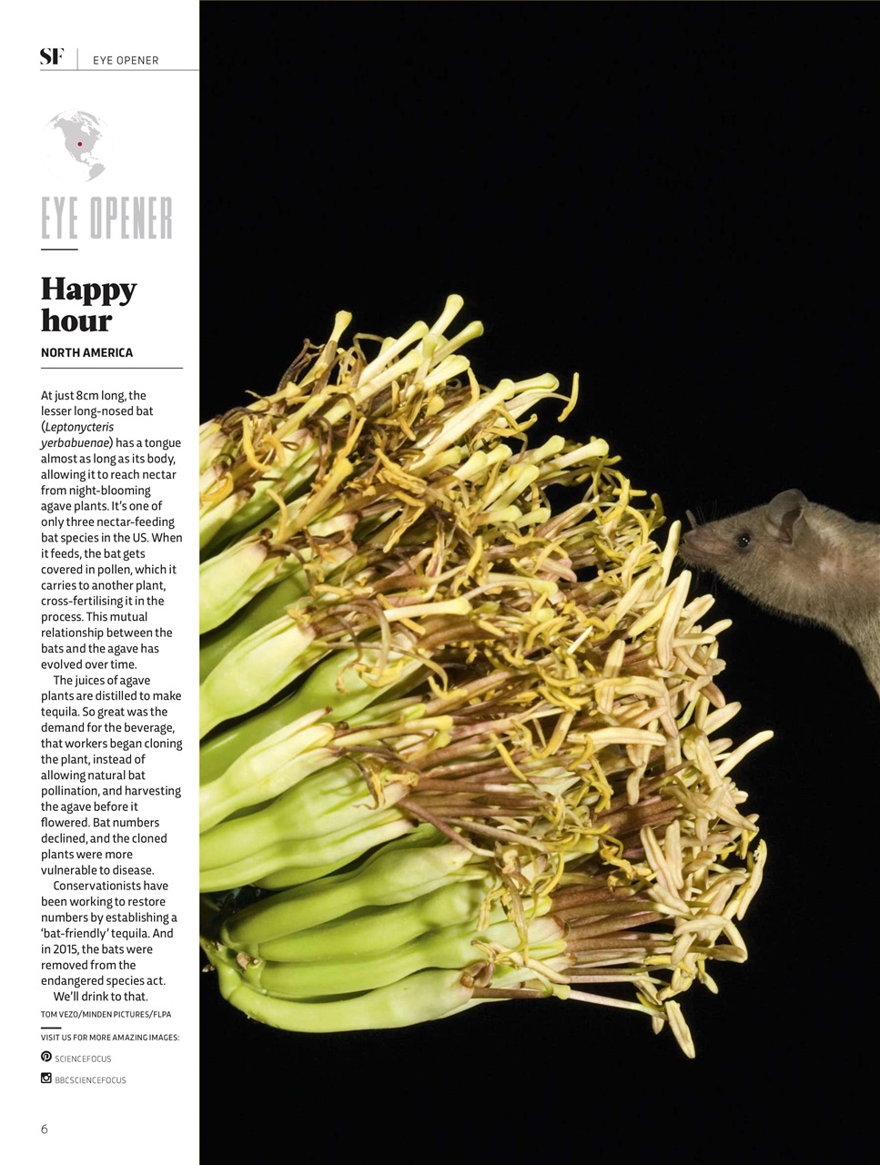 BBC Science Focus Magazine Preview Pages