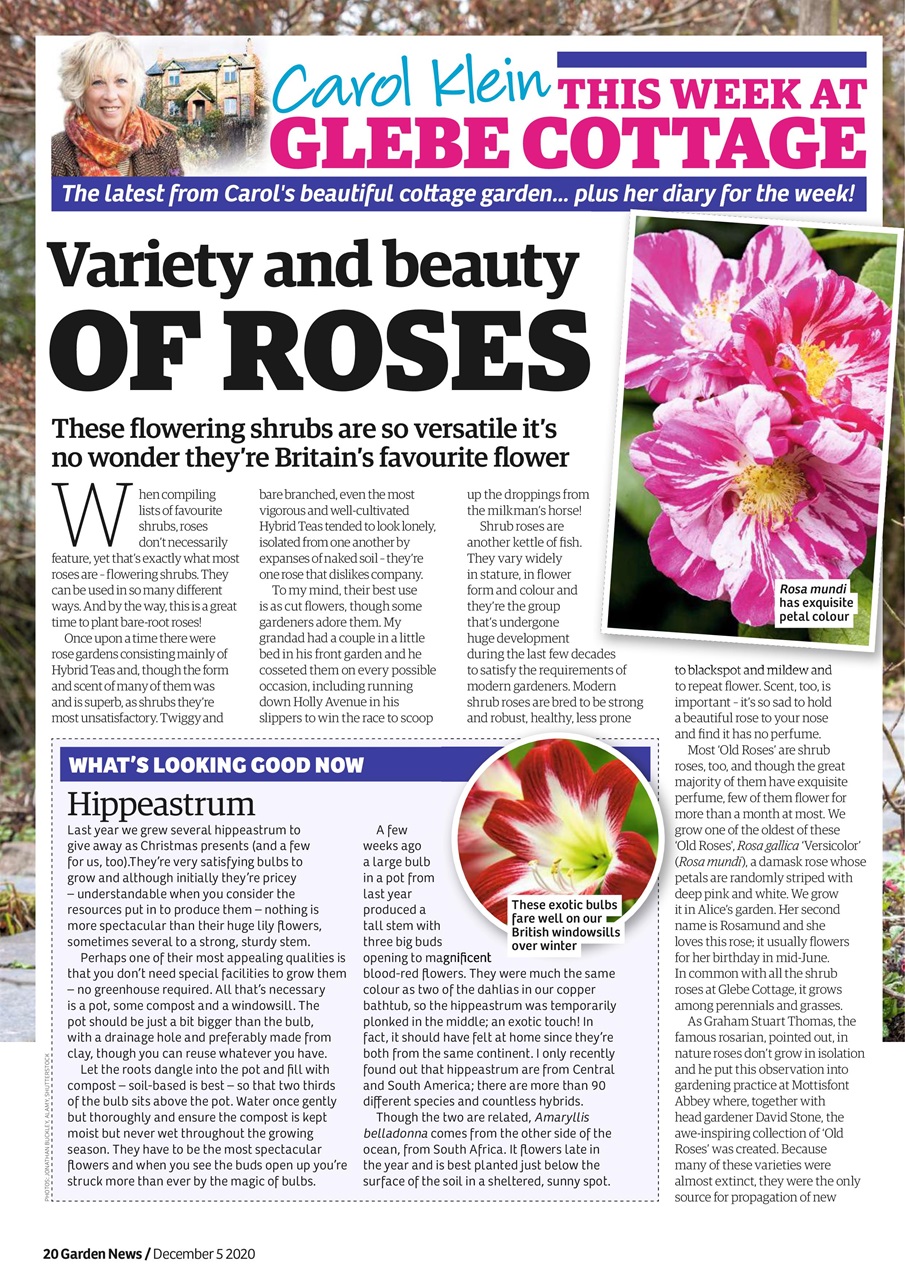 Garden News Preview Pages
