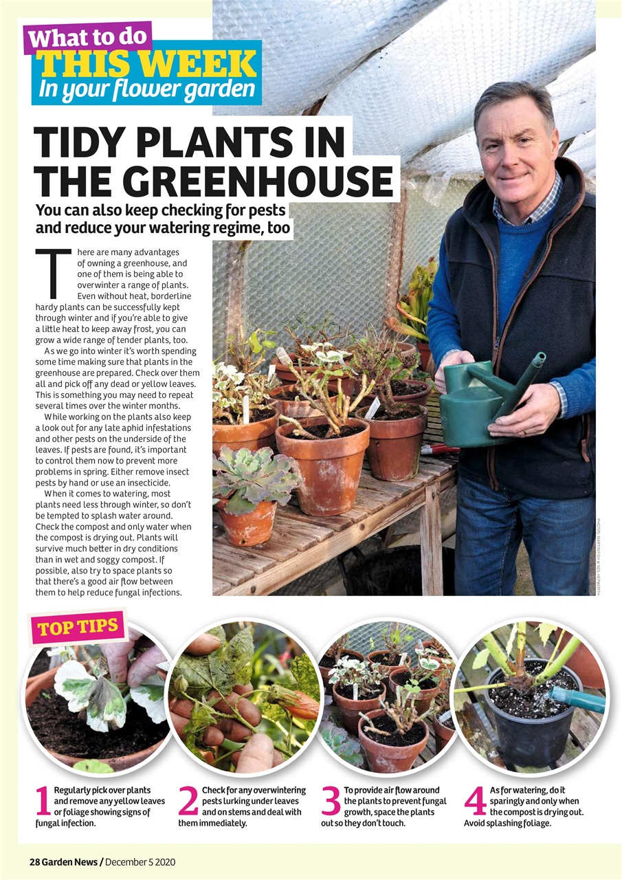 Garden News Preview Pages