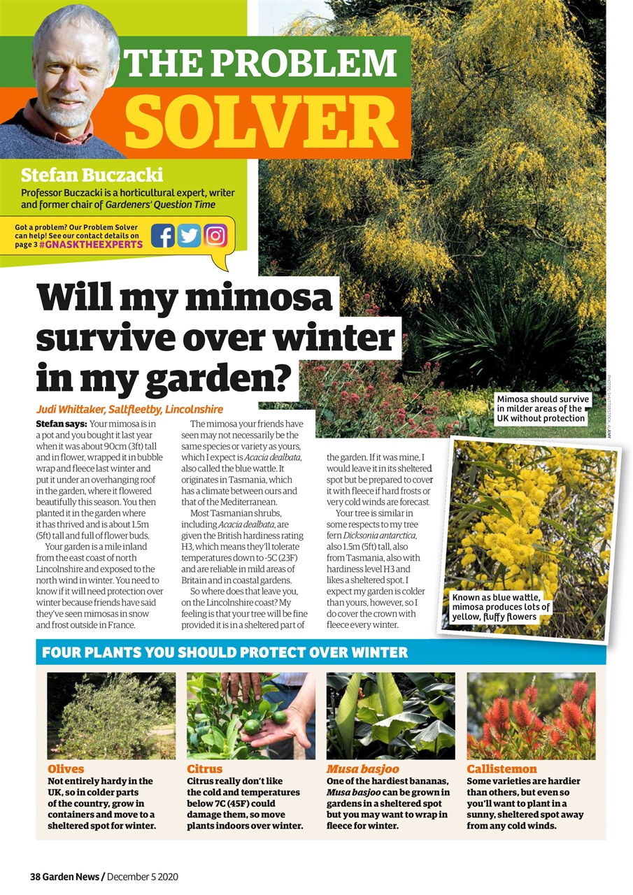 Garden News Preview Pages