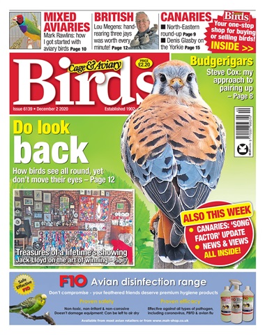 Cage & Aviary Birds issue 02-12-2020