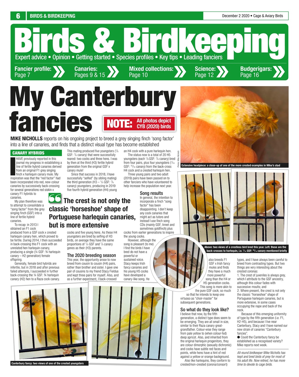 Cage & Aviary Birds Preview Pages