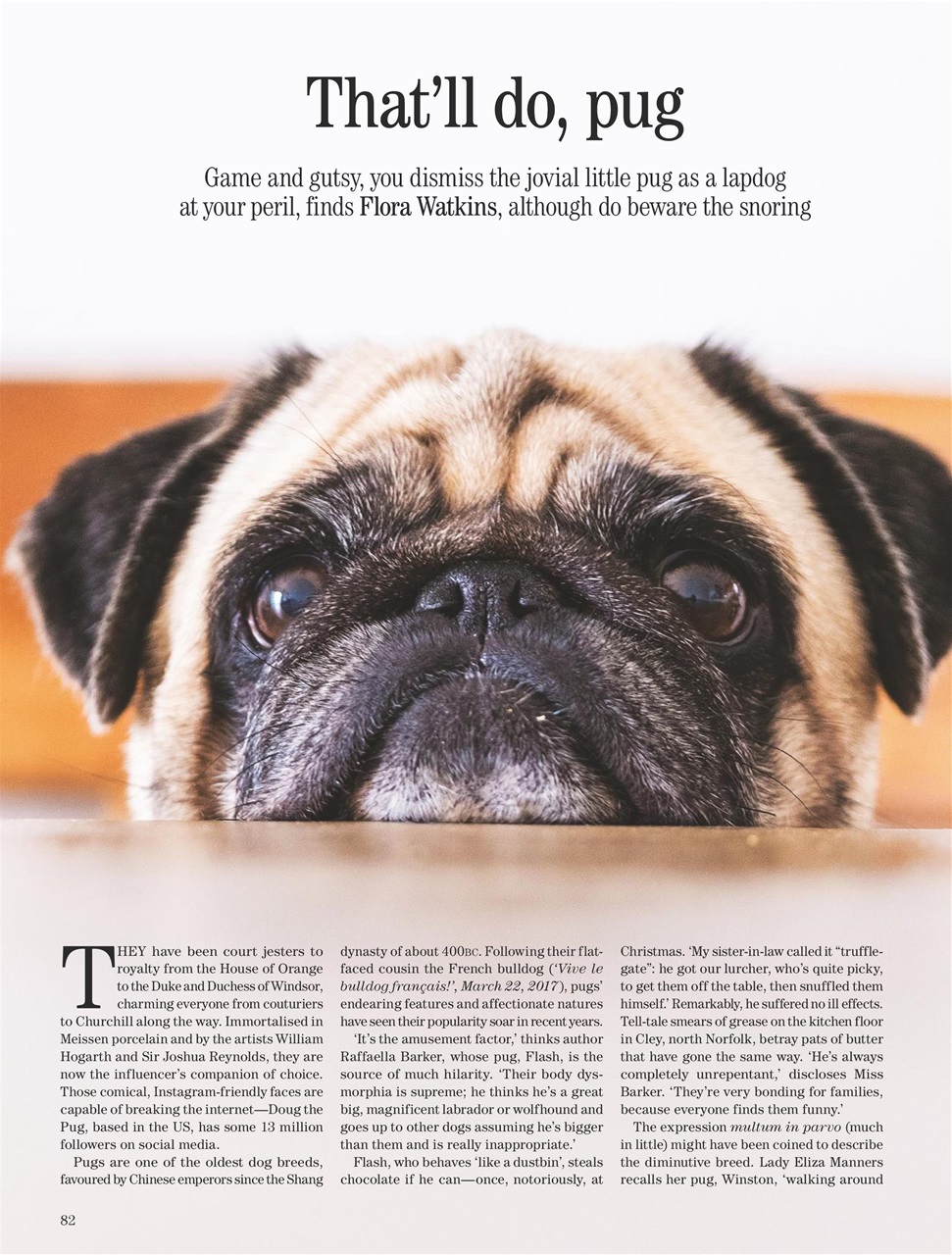 Country Life Preview Pages
