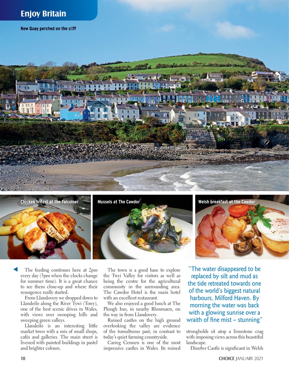 Choice Magazine Preview Pages