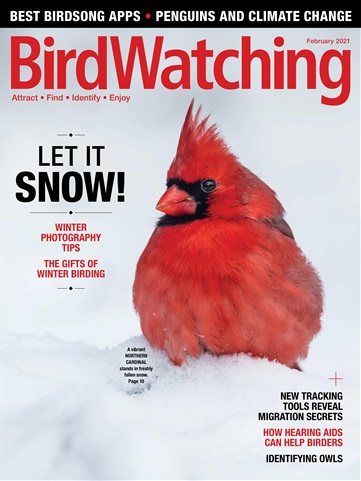 BirdWatching issue Jan/Feb 2021