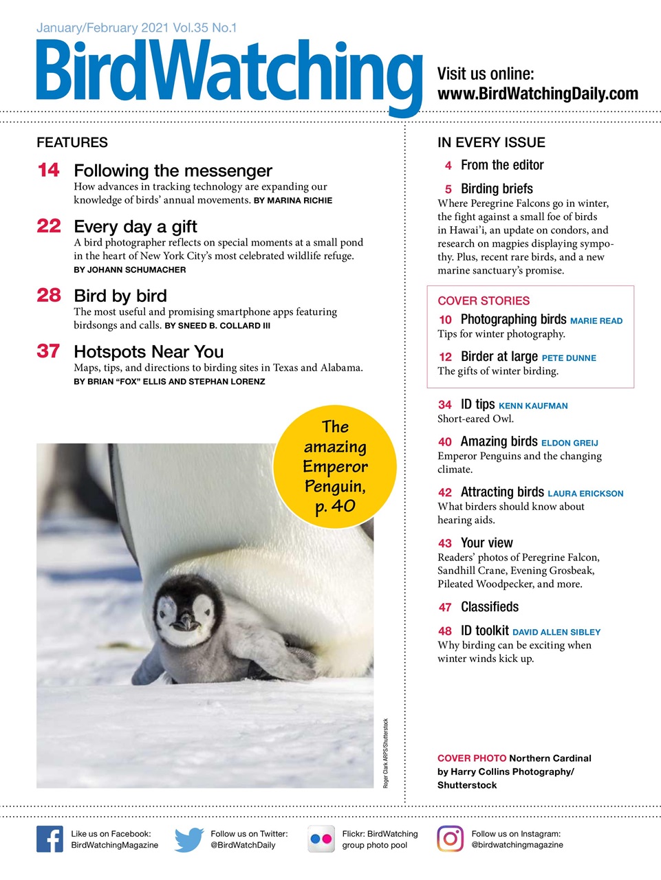 BirdWatching Preview Pages