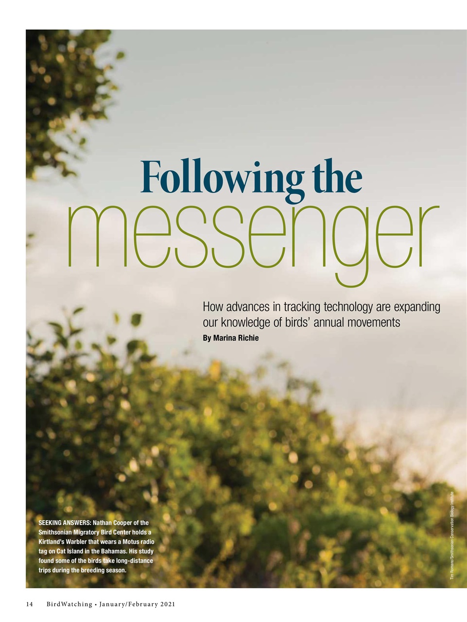 BirdWatching Preview Pages