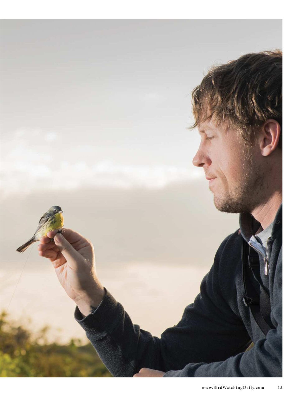 BirdWatching Preview Pages