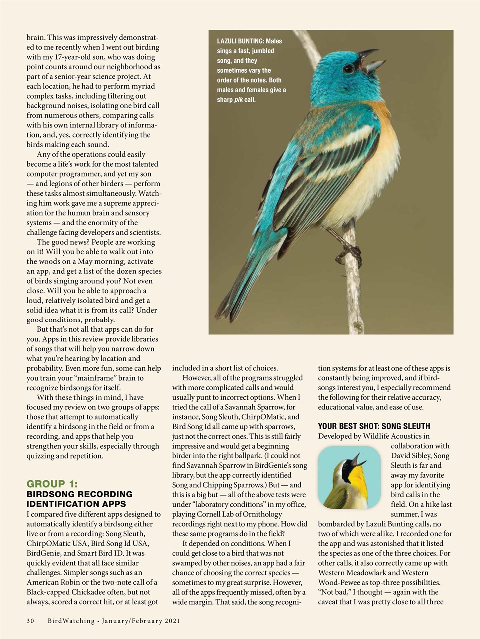 BirdWatching Preview Pages