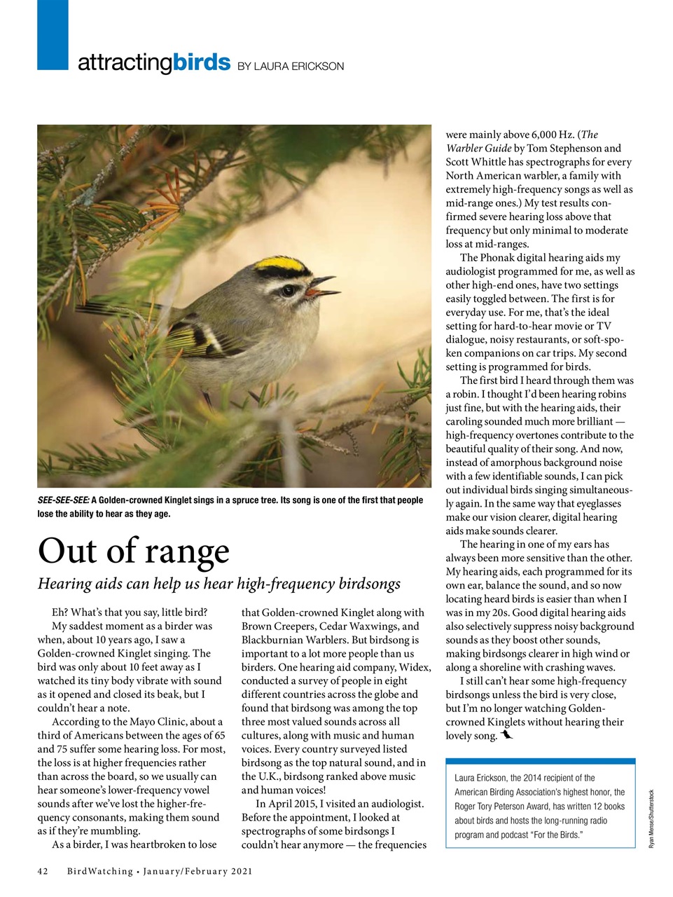 BirdWatching Preview Pages