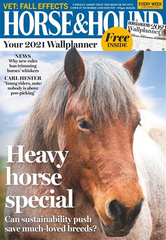 Horse & Hound issue 03-Dec-2020