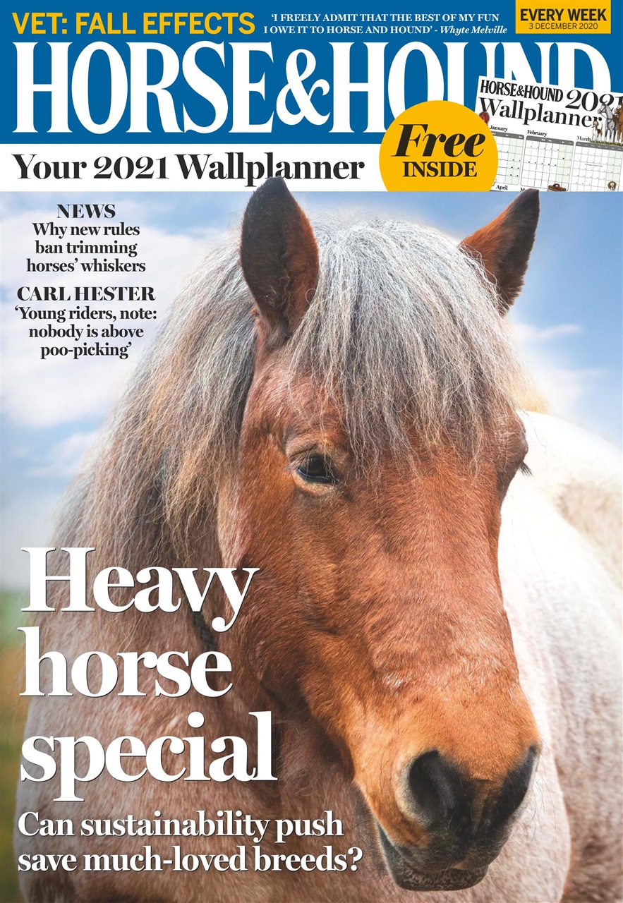 Horse & Hound Preview Pages