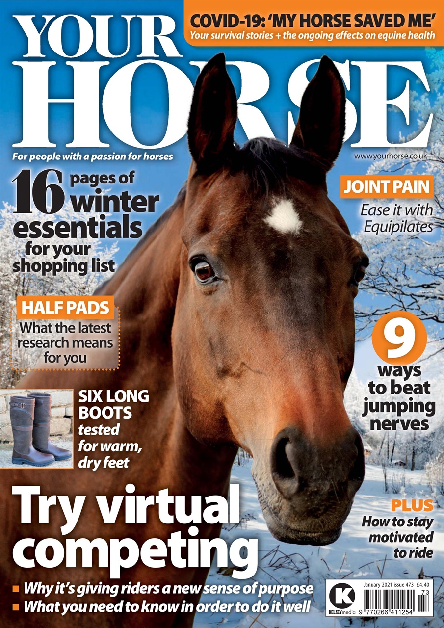 Your Horse Preview Pages