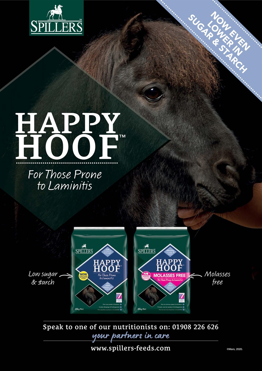 Your Horse Preview Pages