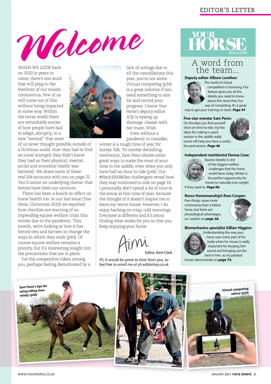 Your Horse Preview Pages