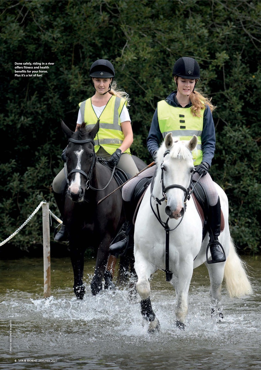 Your Horse Preview Pages