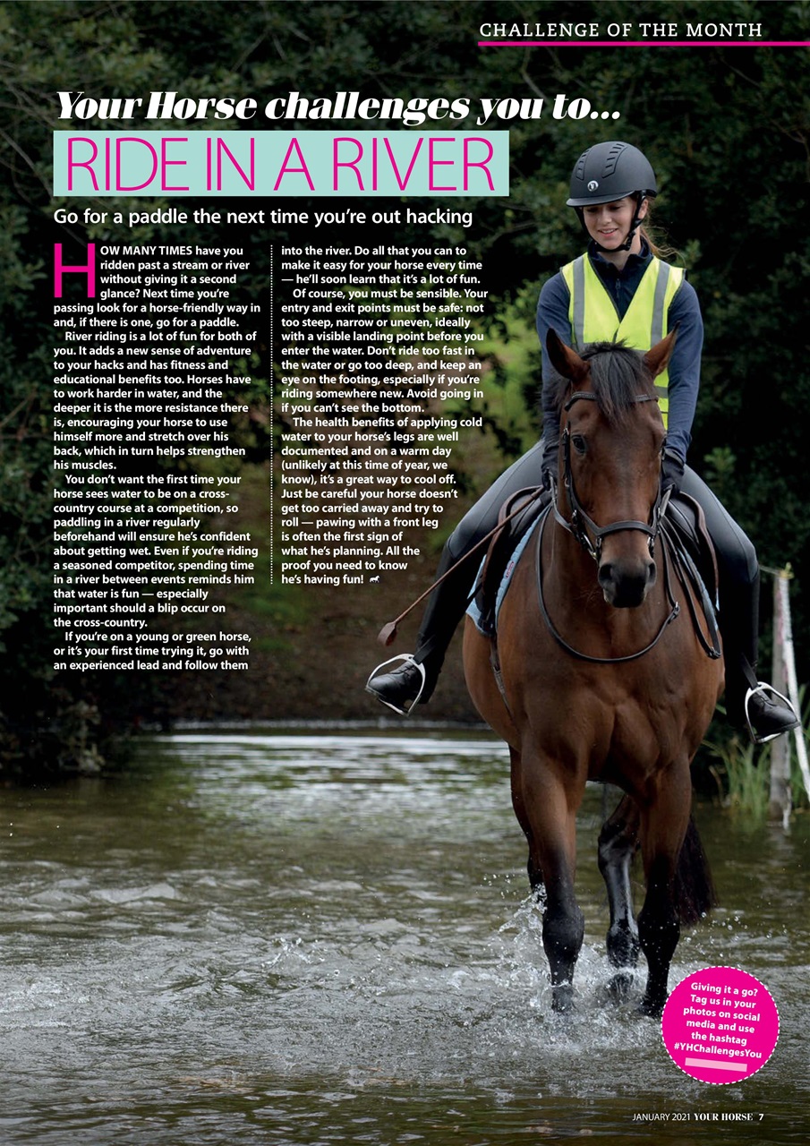 Your Horse Preview Pages