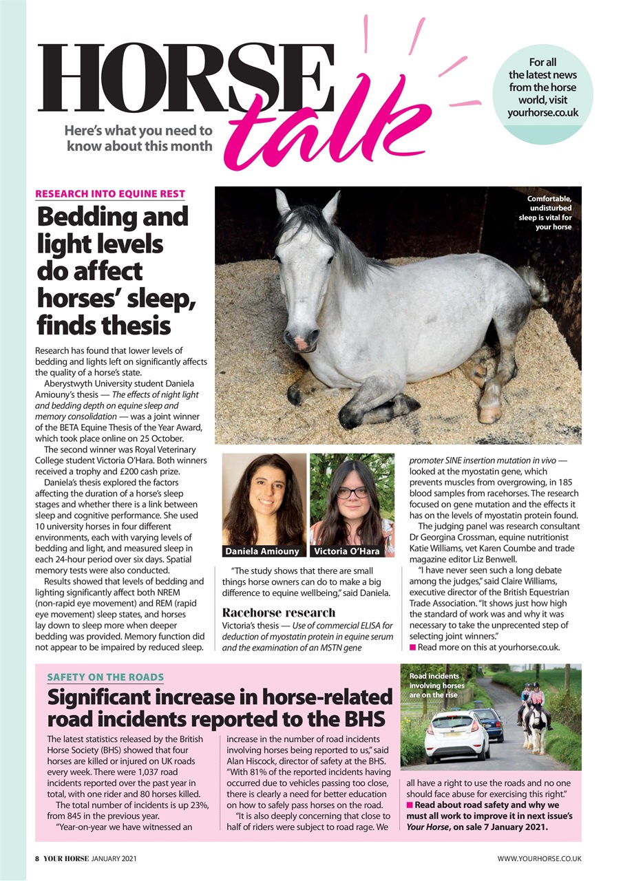 Your Horse Preview Pages