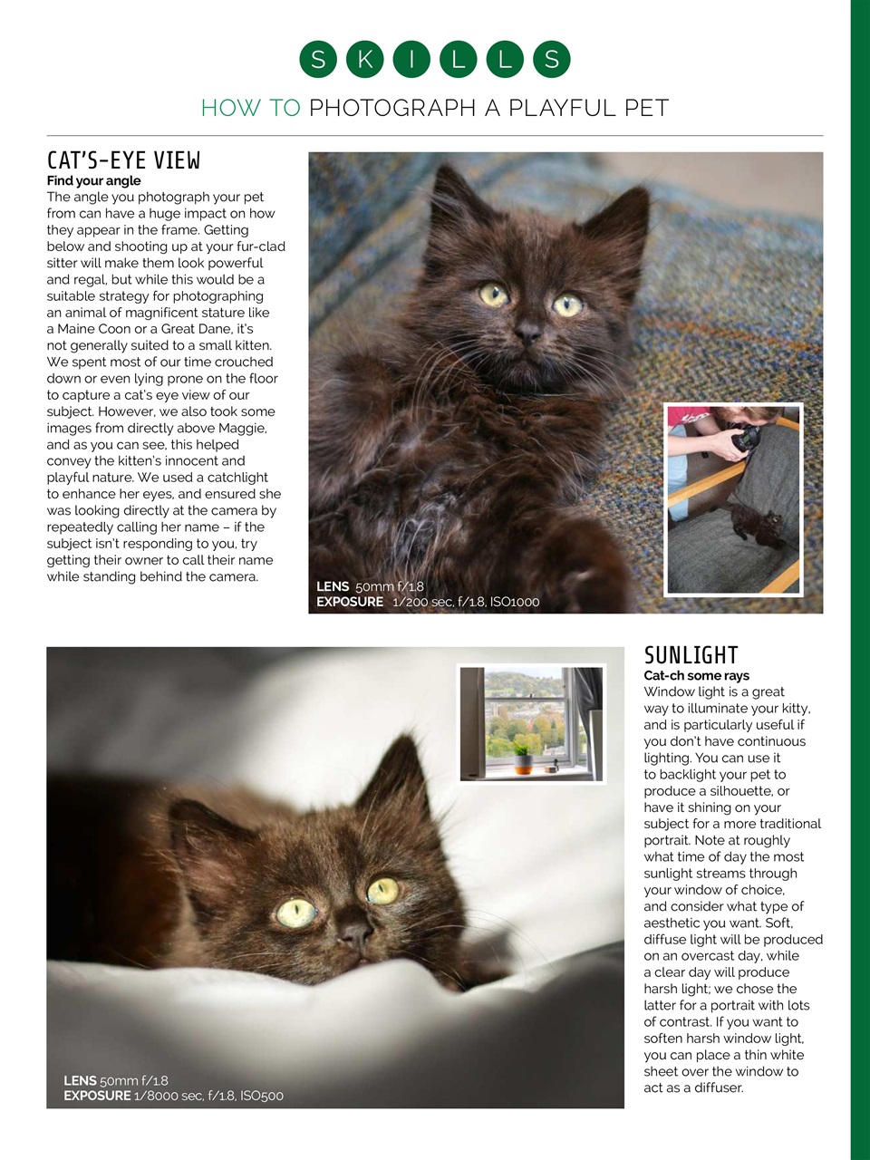 Photography Week Preview Pages