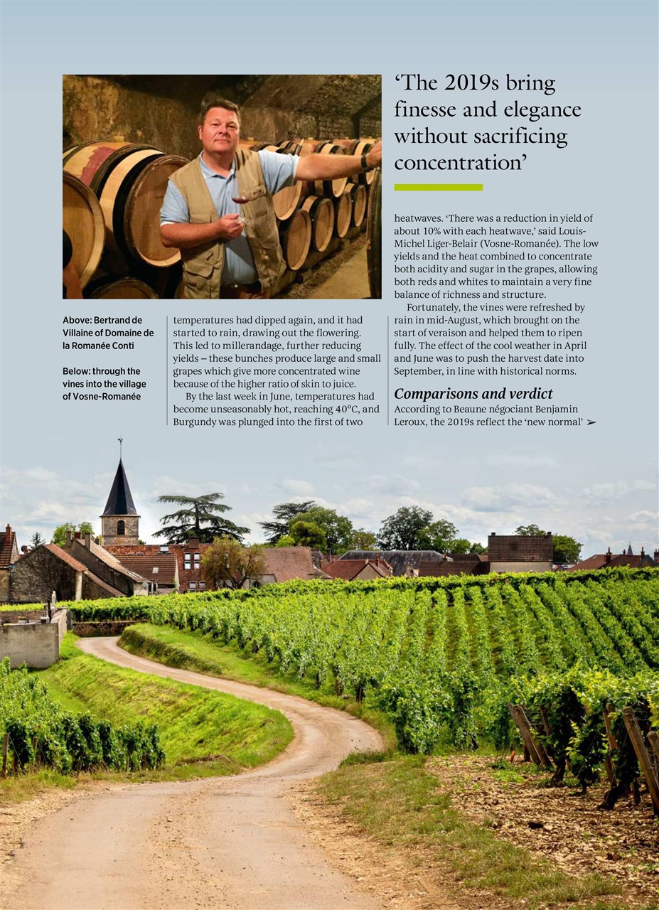Decanter Preview Pages