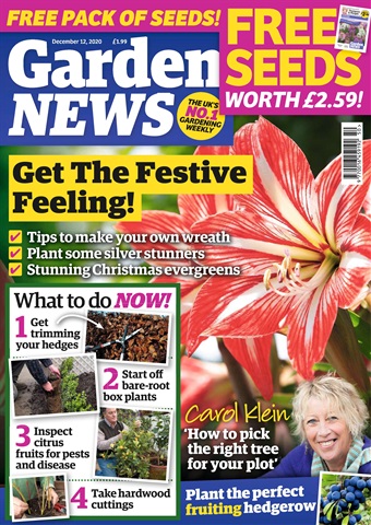 Garden News issue 08/12/2020