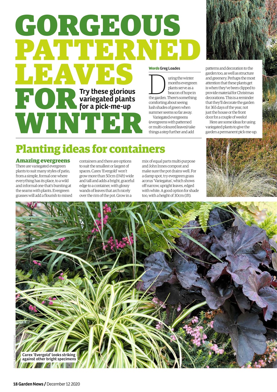 Garden News Preview Pages