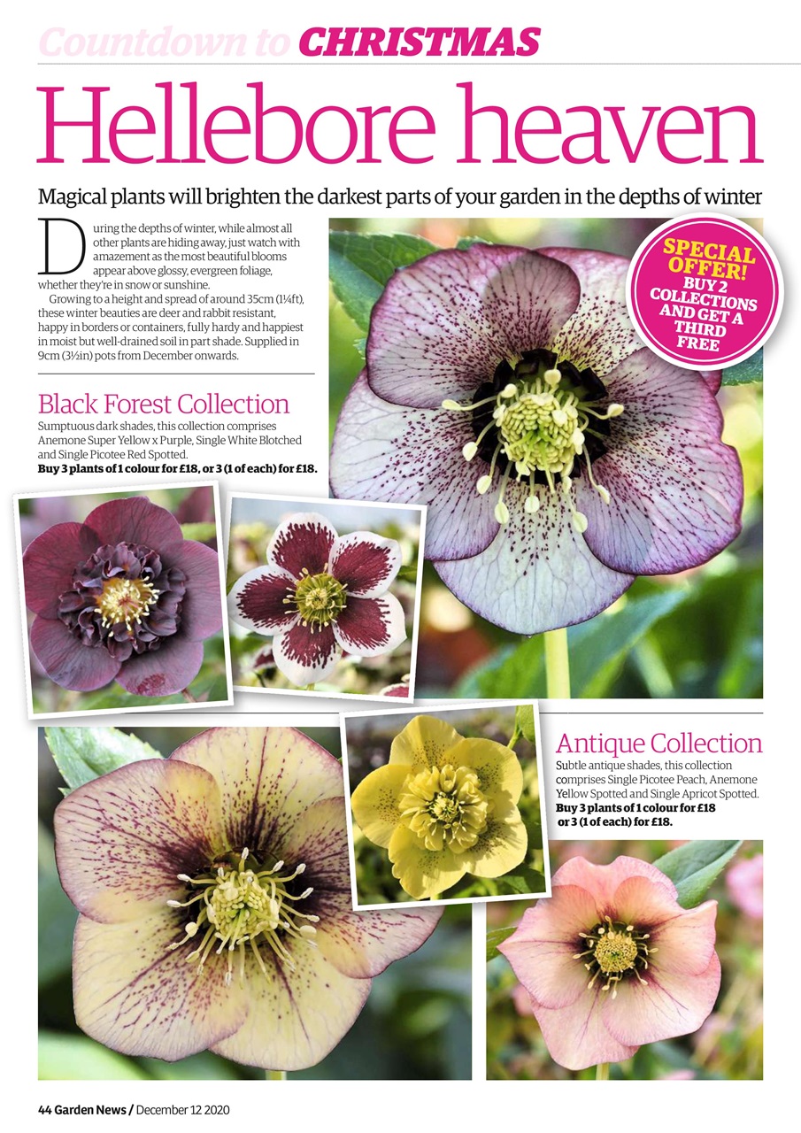 Garden News Preview Pages