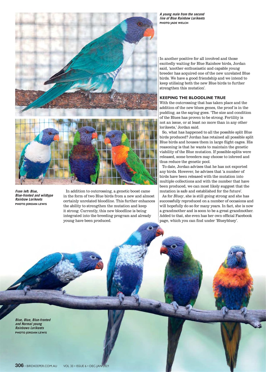Australian Birdkeeper Magazine Preview Pages
