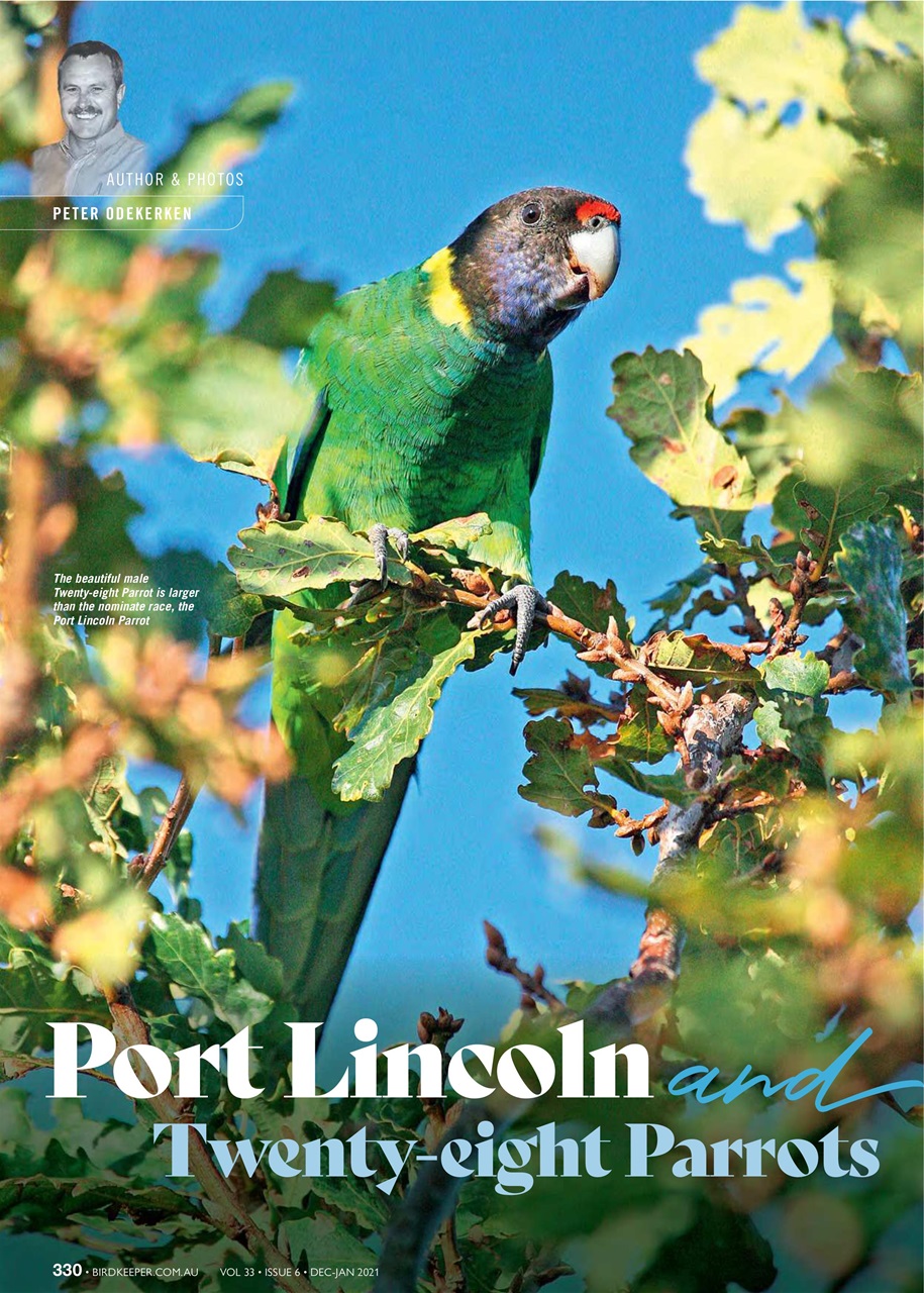 Australian Birdkeeper Magazine Preview Pages