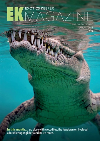 Exotics Keeper issue January 2021