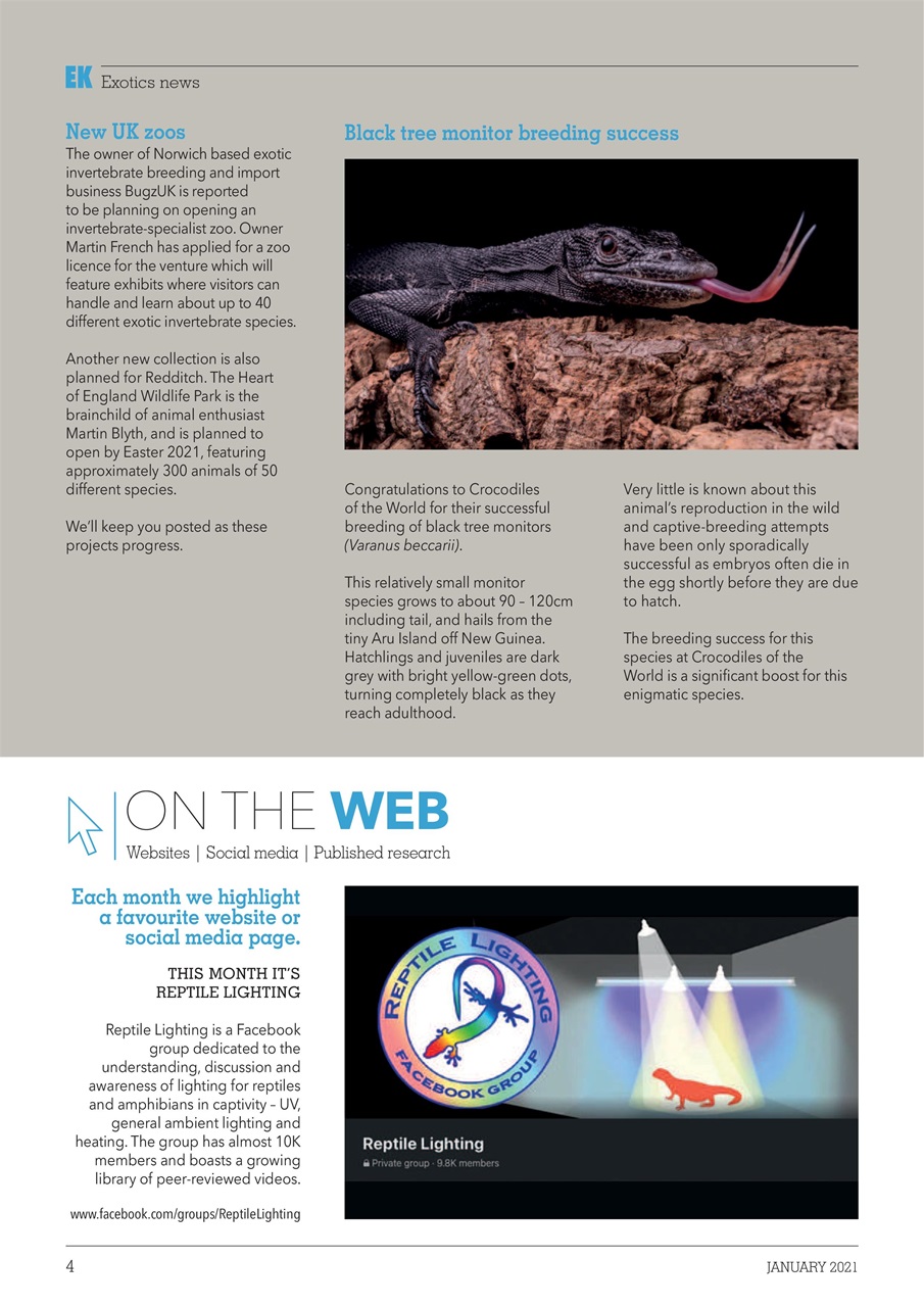 Exotics Keeper Preview Pages