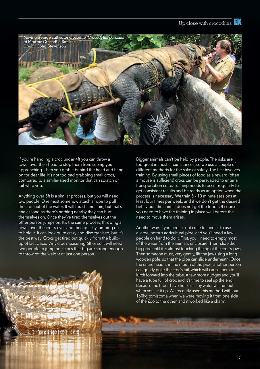 Exotics Keeper Preview Pages