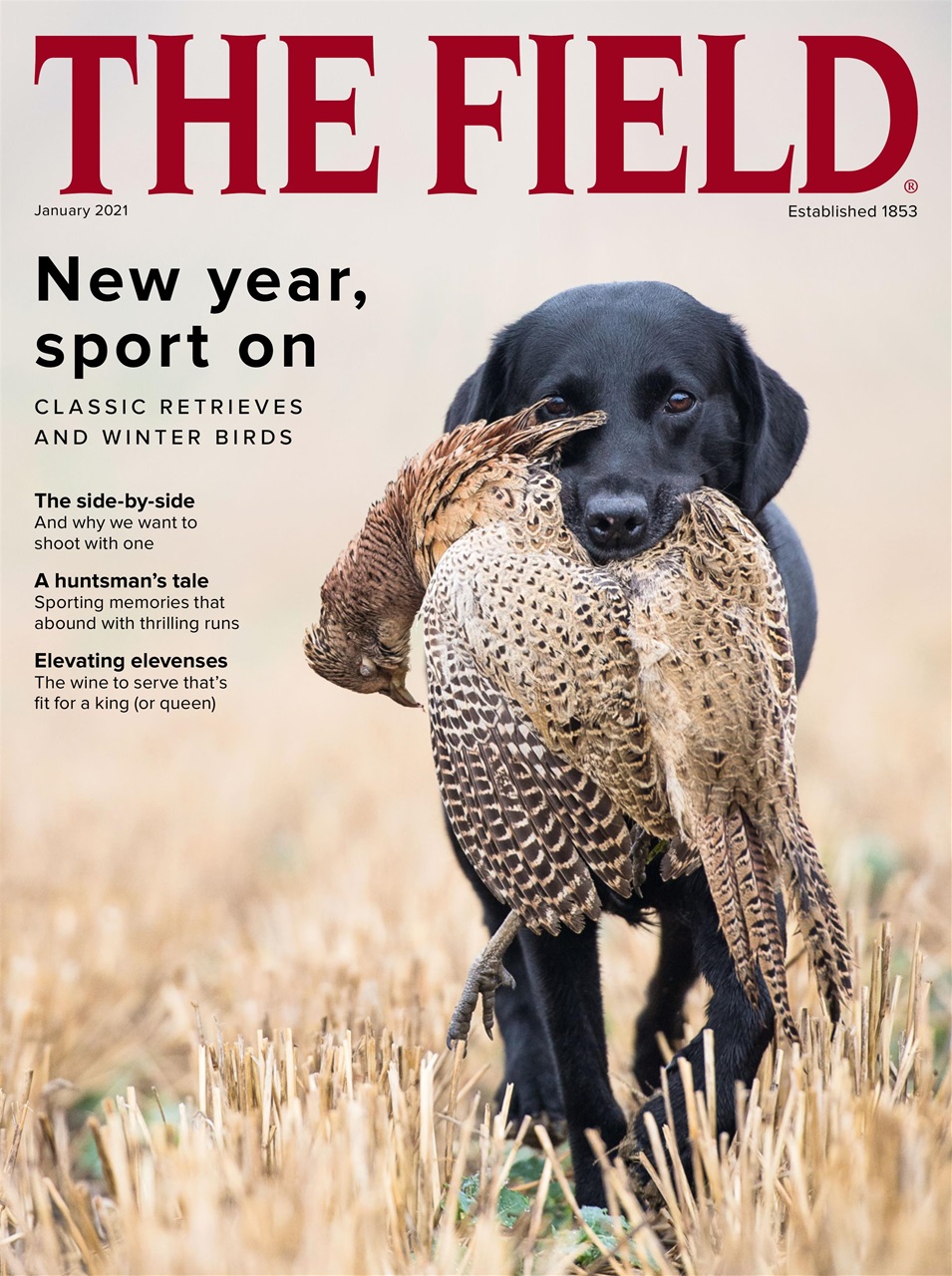 The Field Preview Pages