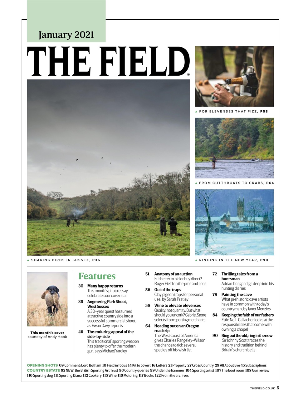 The Field Preview Pages