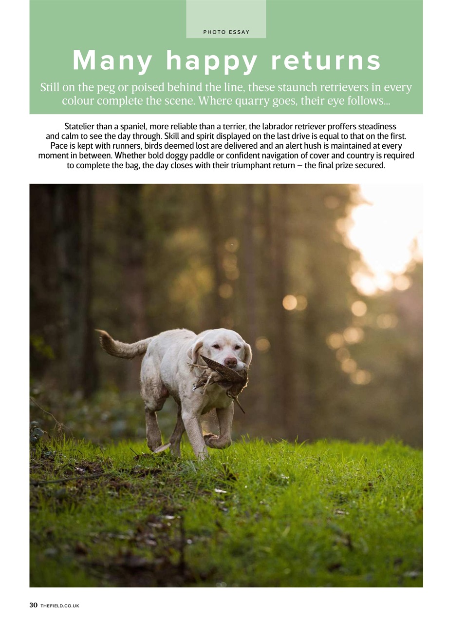 The Field Preview Pages