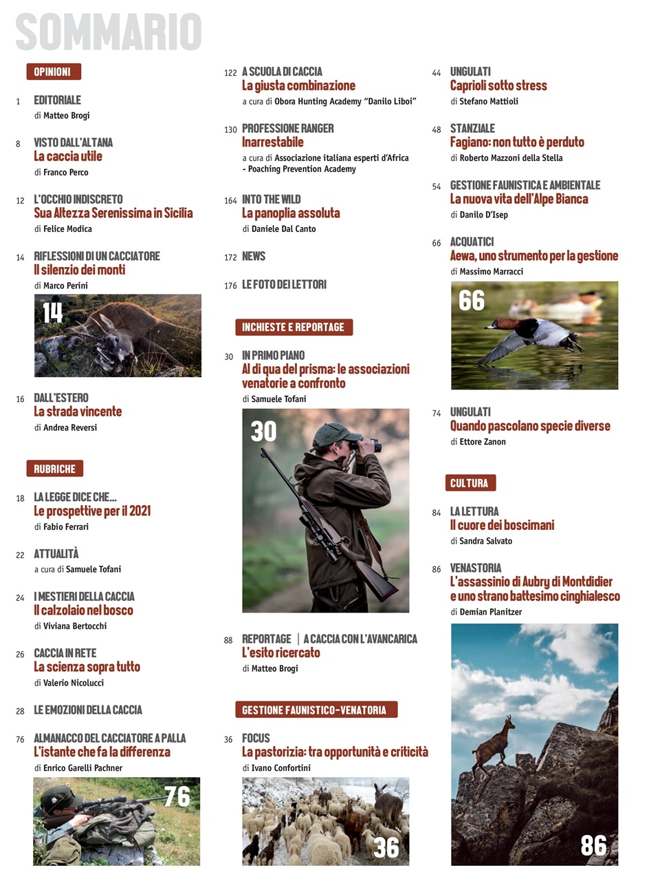 Caccia Magazine Preview Pages