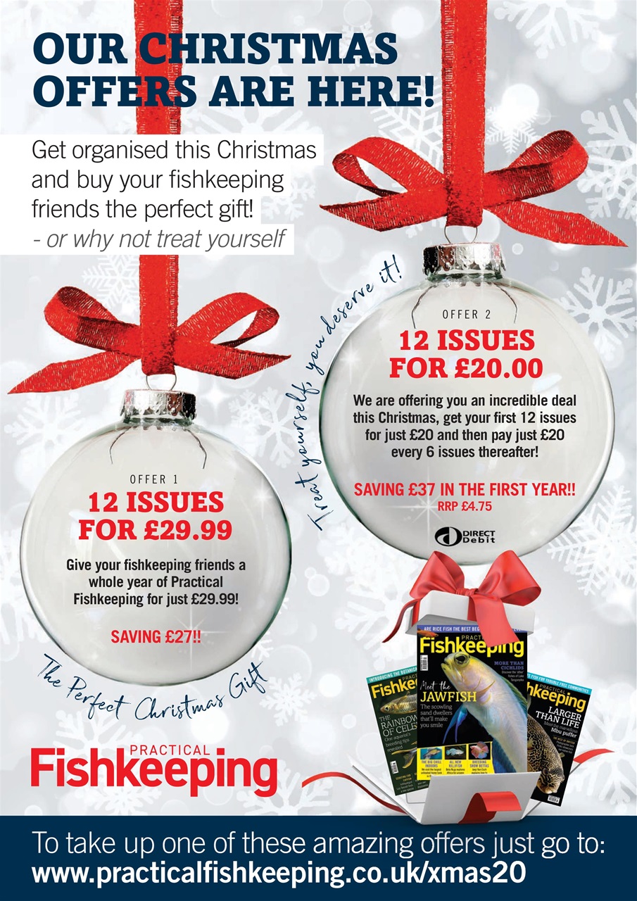 Practical Fishkeeping Preview Pages