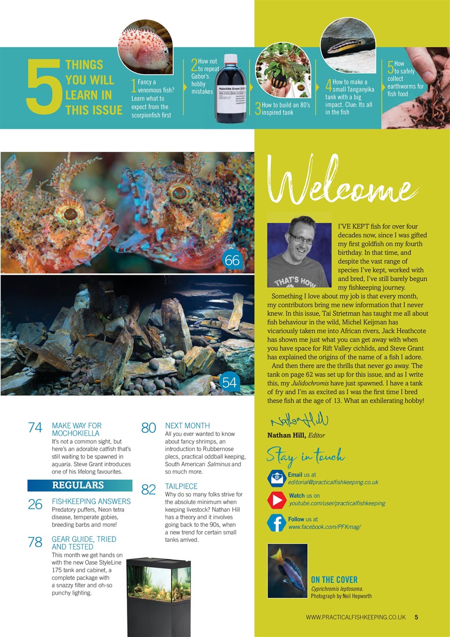 Practical Fishkeeping Preview Pages