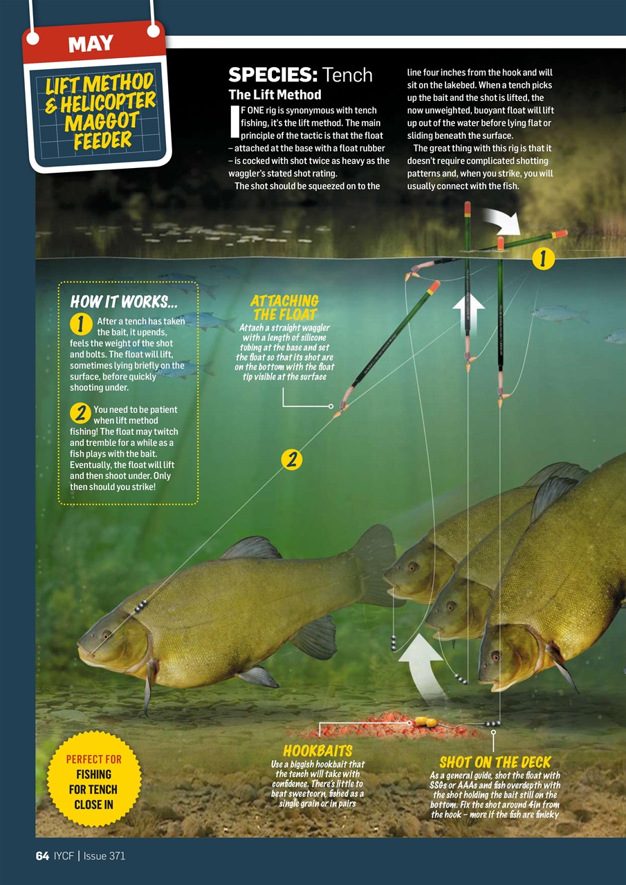 Improve Your Coarse Fishing Preview Pages