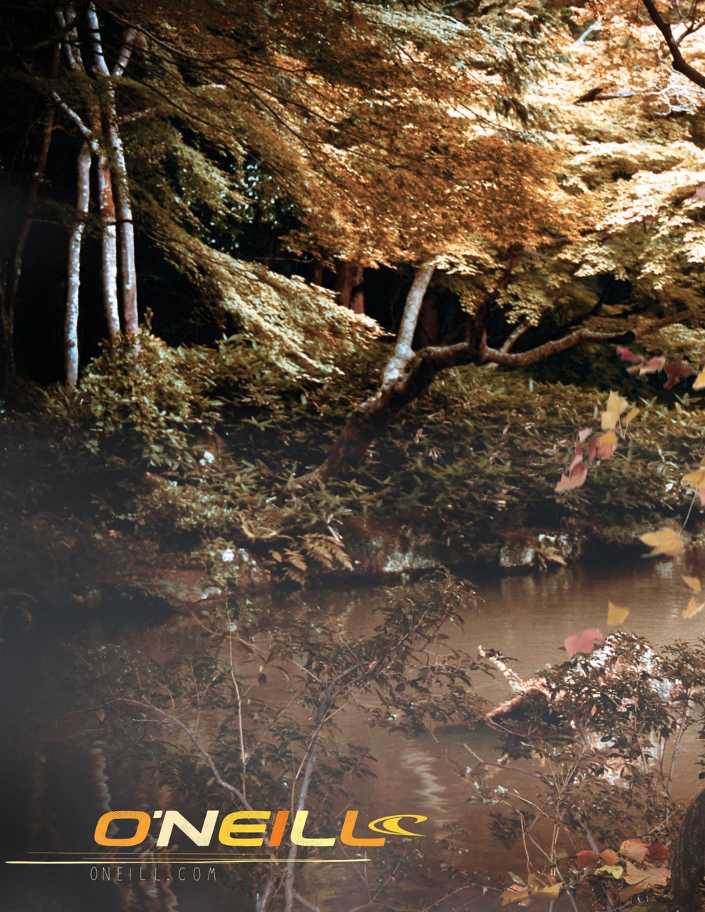 SurfGirl Magazine Preview Pages