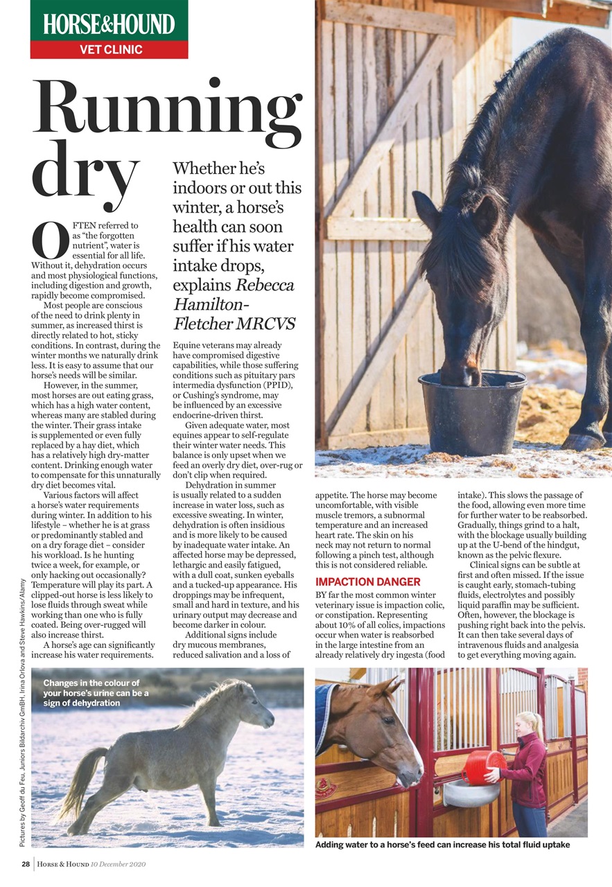 Horse & Hound Preview Pages