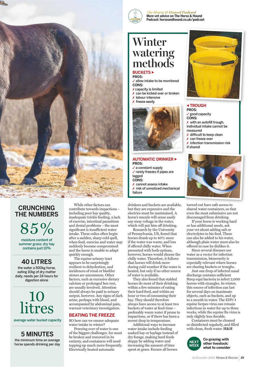 Horse & Hound Preview Pages