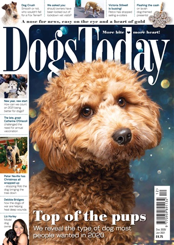 Dogs Today Magazine issue December/January 2021