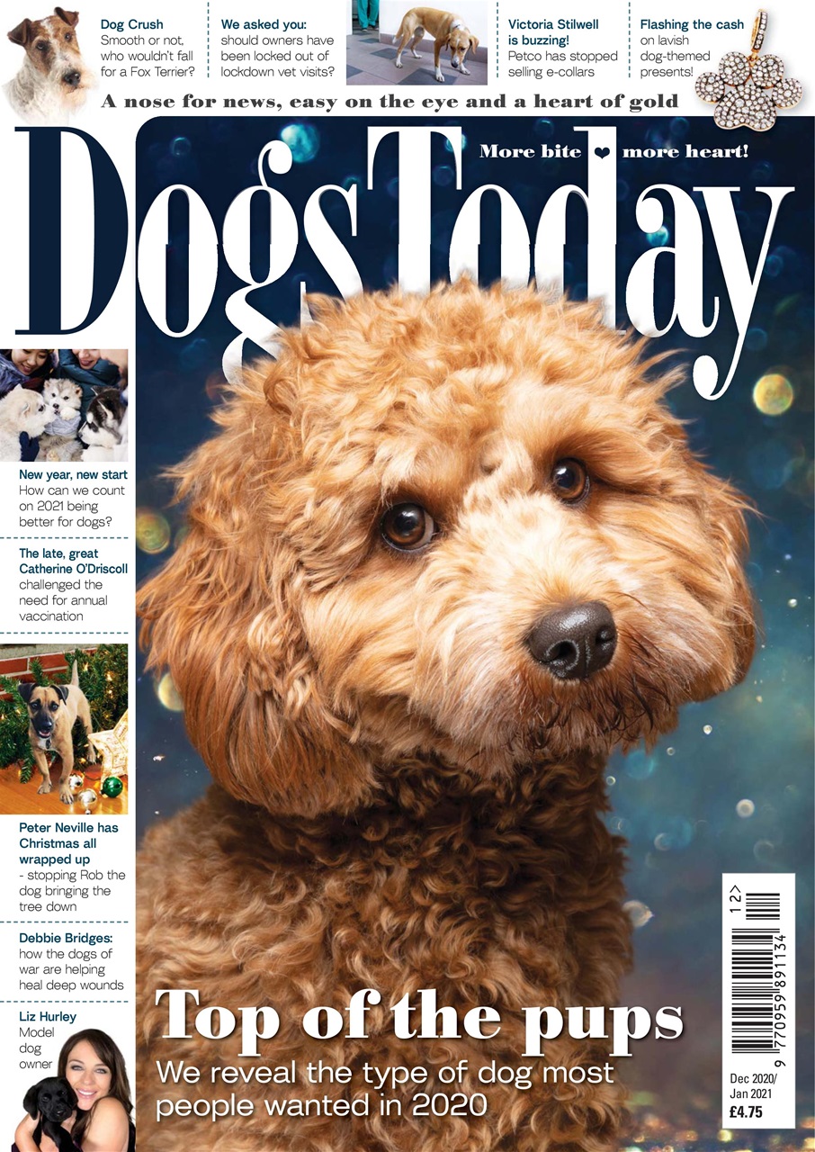 Dogs Today Magazine Preview Pages